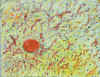 microscopic.jpg (91323 bytes)